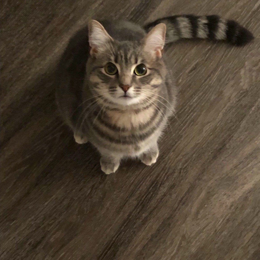 Meet your Posher, Matilda (Tilly)